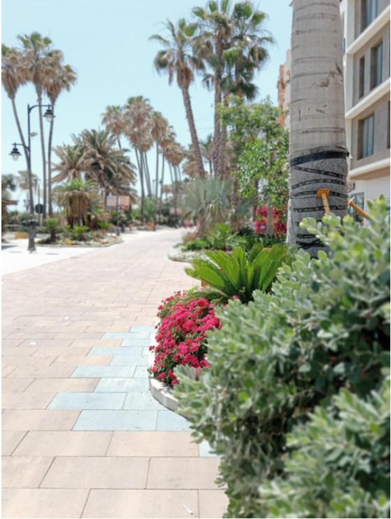 Beach Side Apartment -Estepona Exterior foto